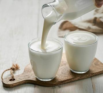 Kefir Bloempjes Yoghurtbloemetjes Verse Melkkefir  beschikbaar voor biedingen