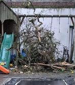 Gratis brandhout, Tuin en Terras, Ophalen