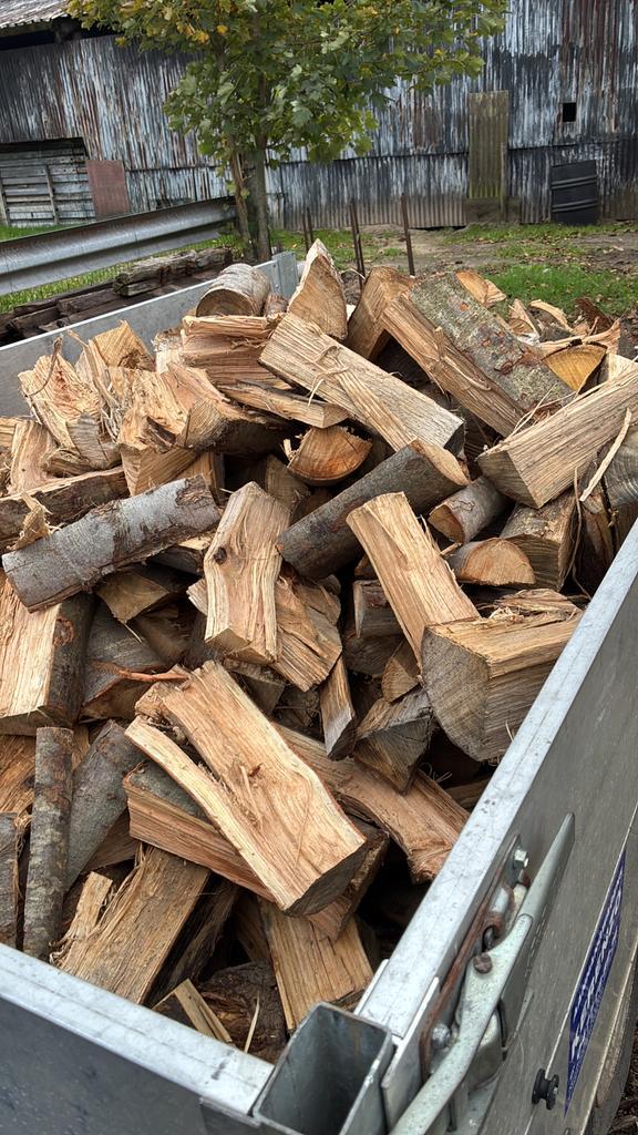 Droog brandhout, Jardin & Terrasse, Bois de chauffage, Bûches, Chêne, 6 m³ ou plus, Enlèvement