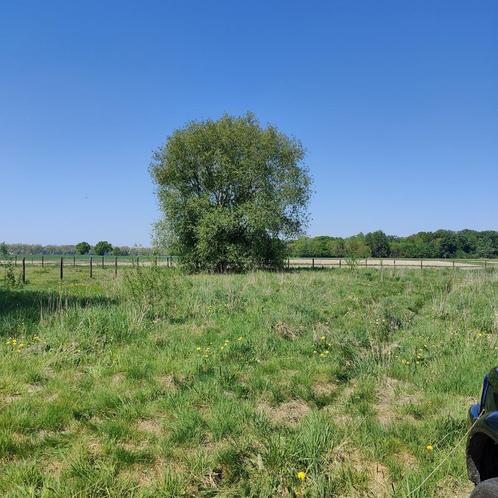 Weide te Perk, Dieren en Toebehoren, Stalling en Weidegang, Weidegang, 2 of 3 paarden of pony's