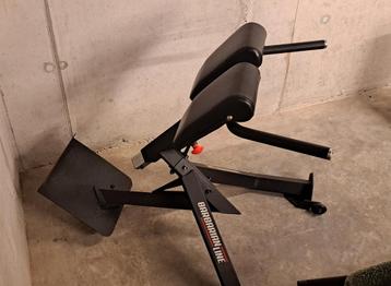 Hyperextension rug trainer 45 beschikbaar voor biedingen