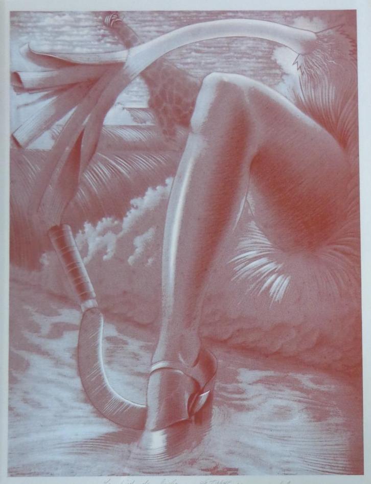 CAMILLE DE TAEYE / PIED-DE-BICHE / KLEURZEEFDRUK / 64x45cm, Antiek en Kunst, Kunst | Litho's en Zeefdrukken, Ophalen of Verzenden