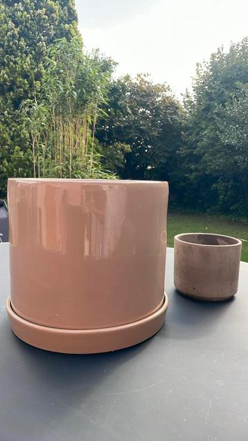 Bloempotten te koop beschikbaar voor biedingen