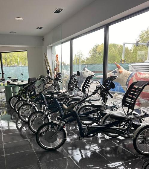 Easy riders Van Raam met motor alle modellen en garantie, Fietsen en Brommers, Fietsen | Driewielfietsen, Zo goed als nieuw, Ophalen