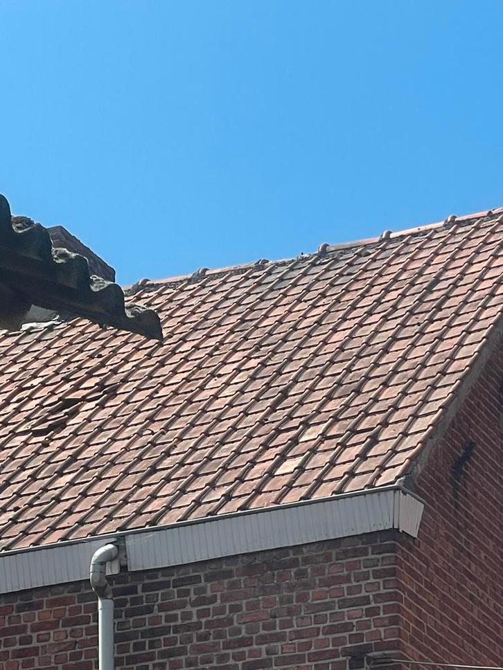 Rode Koramic / Sterreberg dakpannen te koop., Doe-het-zelf en Bouw, Dakpannen en Dakbedekking, Gebruikt, Dakpannen, Steen of Klei