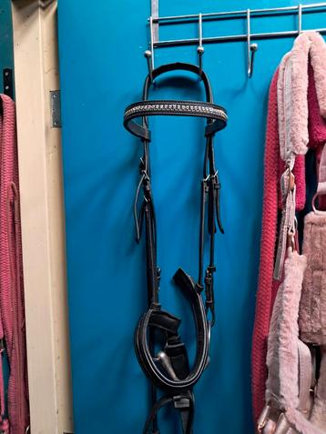 Première complète de Bridle, Enlèvement ou Envoi, Utilisé, Récréation