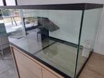 Aquarium 100cm x 50cm x 50cm, Dieren en Toebehoren, Ophalen, Zo goed als nieuw, Overige typen