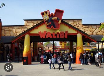 4 E-tickets Walibi, Tickets & Billets