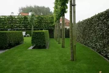 Handige tuinman en klusser beschikbaar! beschikbaar voor biedingen