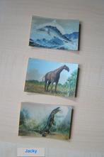 Wisselkaartjes – Jacky , voorhistorische dieren en vandaag, Verzamelen, Foto's en Prenten, 1960 tot 1980, Ophalen of Verzenden