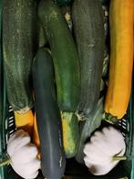 Verschillende soorten courgettes, pompoenen, komkommers bio, Tuin en Terras, Planten | Tuinplanten, Ophalen of Verzenden