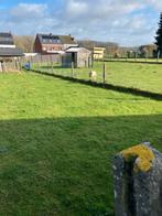 Jong bokje, Dieren en Toebehoren, Stalling en Weidegang