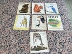 Lot van 7 prenten dieren albums pere CASTOR, Verzamelen, Foto's en Prenten, Gebruikt, Ophalen of Verzenden, 1940 tot 1960, Dier