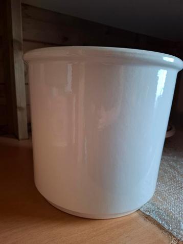 Witte  bloempot  beschikbaar voor biedingen