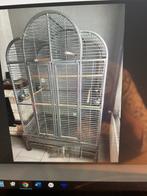 Grote papegaaienkooi H2m B1,20m D80cm, Cage d'élevage, Enlèvement, Utilisé, Métal