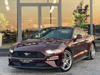 Ford mustang // 1er propriétaire // carnet complet Ford, Autos, Ford, Achat, Euro 6, Entreprise, Autres couleurs