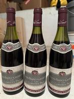 Charles Vienot Corvees Pagets, Nuits-Saint-Georges 1CRU 1986, Collections, Vins, Comme neuf, Pleine, Enlèvement, Vin rouge