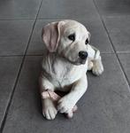 Labrador puppy, Ophalen, Zo goed als nieuw