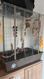 Kooi rat of vogel, Dieren en Toebehoren, Ophalen, Zo goed als nieuw, Kooi, Rat