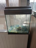 Aquarium vissen merk tetra 20 euro+- 30 liter, Dieren en Toebehoren, Ophalen, Zo goed als nieuw