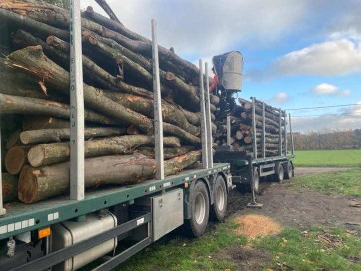 boomstammen te koop voor brandhout, Tuin en Terras, Brandhout, Stammen, Eikenhout, 6 m³ of meer, Ophalen