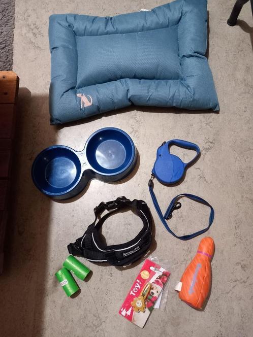 Set artikelen voor kleine honden of puppy's, Dieren en Toebehoren, Honden-accessoires, Zo goed als nieuw, Ophalen