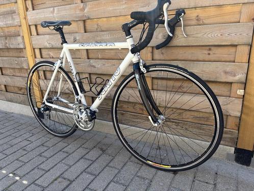 koersfiets scatto m56 in perfecte staat, Fietsen en Brommers, Fietsen | Racefietsen, Zo goed als nieuw, Heren, 15 tot 20 versnellingen