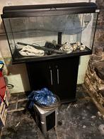 Aquarium 110 liter compleet met externe pomp en decoratie, Dieren en Toebehoren, Ophalen, Gebruikt