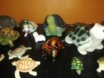 Verzameling van 25 schildpadden, Verzamelen, Ophalen of Verzenden, Zo goed als nieuw