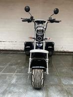 Citycoco 3 roues, Ophalen, Nieuw