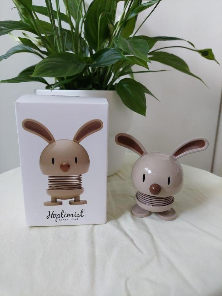 Hoptimist Bunny S Latte, Huis en Inrichting, Woonaccessoires | Overige, Nieuw, Ophalen of Verzenden