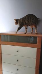 Plaatsbesparende hoge commodekast, Enlèvement