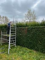 TUIN ONDERHOUD/AANLEG, Onderhoud of Restauratie
