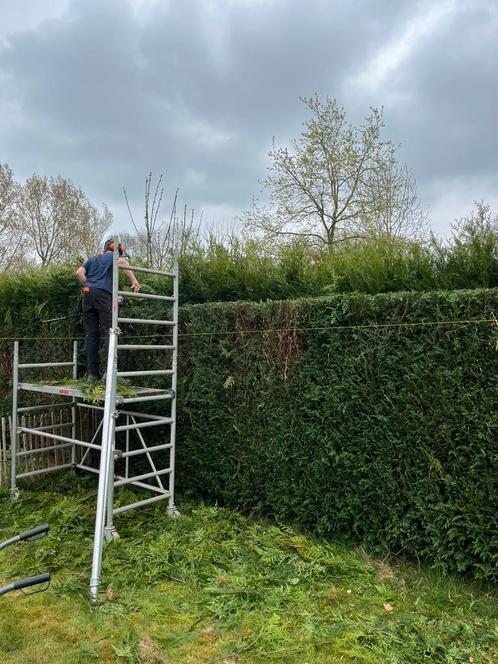 TUIN ONDERHOUD/AANLEG, Diensten en Vakmensen, Aannemers, Nieuwbouw of Opbouw, Onderhoud of Restauratie