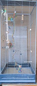 2 koppels grasparkiets plus kooi en accesoires, Dieren en Toebehoren, Vogels | Parkieten en Papegaaien