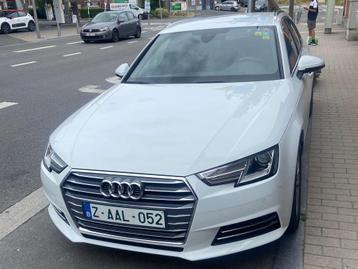 Audi A4 2.0 TDi ultra Business Edition Sport S tronic