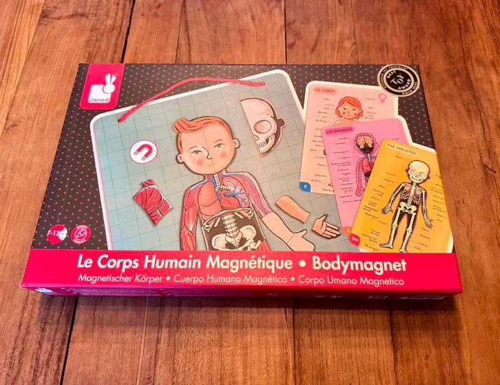 Het menselijk lichaam magnetisch spel, Kinderen en Baby's, Speelgoed | Educatief en Creatief, Gebruikt, Ophalen of Verzenden