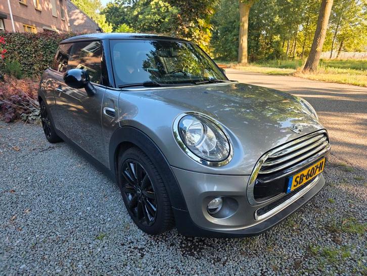 Mini Cooper 1.5 Salt Business | Panoramadak | 2018, Auto's, Mini, Particulier, Cooper, Alarm, Android Auto, Apple Carplay, Cruise Control