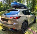 Dakkoffer Thule Pacaific L antraciet, Auto diversen, Dakkoffers, Ophalen, Zo goed als nieuw