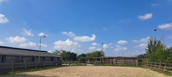 2 plekken vrij op prive stal, Dieren en Toebehoren, Stalling en Weidegang, Stalling, Weidegang