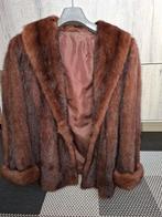 Pelsmantaal, Vêtements | Femmes, Vestes | Hiver, Enlèvement ou Envoi, Porté