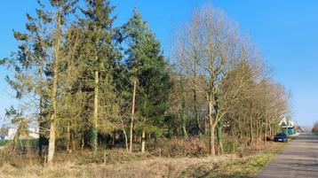 Landbouwgrond met bomen beschikbaar voor biedingen
