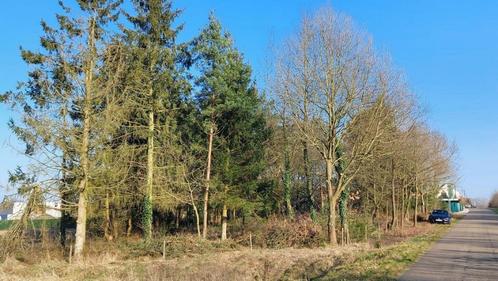 Landbouwgrond met bomen - prijsverlaging, Immo, Gronden en Bouwgronden, 1000 tot 1500 m², Verkoop zonder makelaar