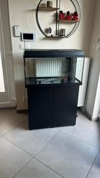 Aquarium avec meuble juwel 125litres, Ophalen, Gebruikt