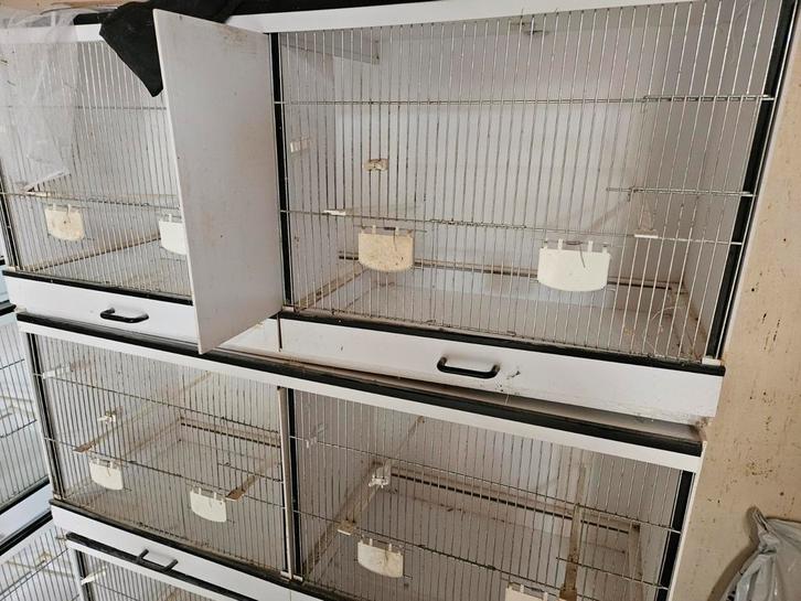 Tekoop, Dieren en Toebehoren, Vogels | Hokken en Kooien, Zo goed als nieuw, Kunststof, Ophalen