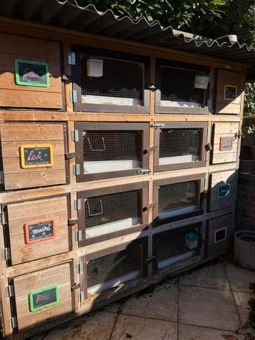 Konijnenflat - konijnenhok beschikbaar voor biedingen