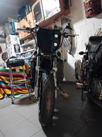 Zx9r streetfighter, 4 cilinders, 900 cc, Super Sport, Particulier