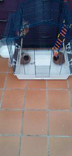 Vogelkooi, Ophalen of Verzenden, Zo goed als nieuw