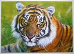 Puzzel met Bengaalse tijger  500 st., Verzenden, 500 t/m 1500 stukjes, Zo goed als nieuw, Legpuzzel