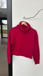 Leuke pull, Kleding | Dames, Ophalen of Verzenden, Zo goed als nieuw
